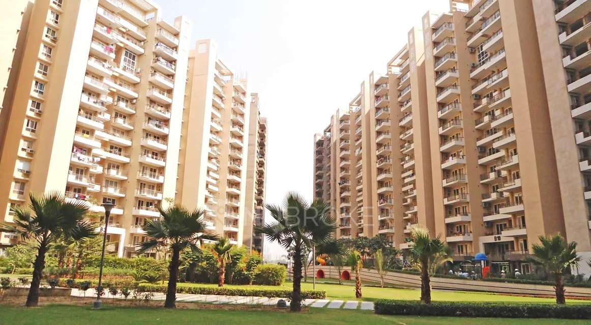 4 BHK Flat In Tulip Violet for Rent  In Sector 69