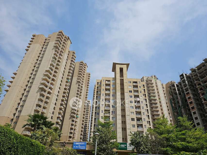 2 BHK Flat In Aipl The Peaceful Homes, Sector 70a for Rent  In Aipl The Peaceful Homes