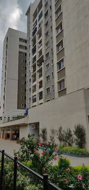 3 BHK Flat In Salarpuria Sattva Melody, Bangalore For Sale  In Bangalore