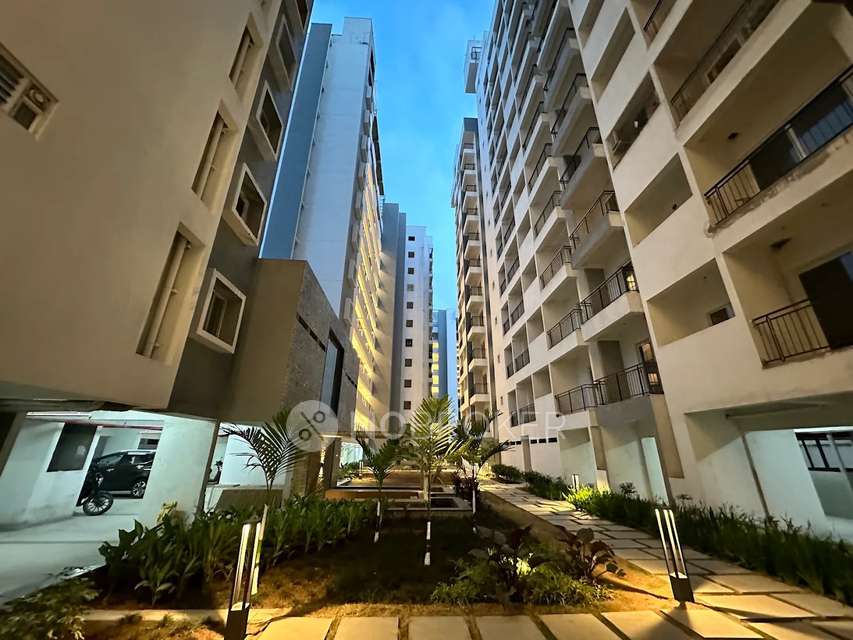 2 BHK Flat In Pratham Zen Indraprastha for Rent  In Yeshwanthpur