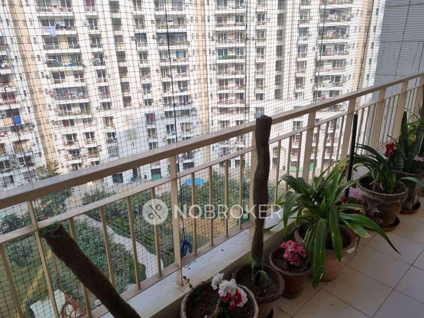 3 BHK Flat In Jmd Garden for Rent  In Sector 33,