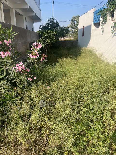 Plot For Sale  In Bongloor