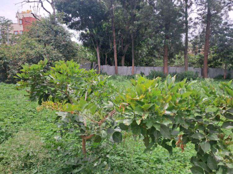 Plot For Sale  In Esther Serenity In Survey No 15, 3 & 12/1, Main Road, Gundur, Chikkasandra, Karnataka 562165, India