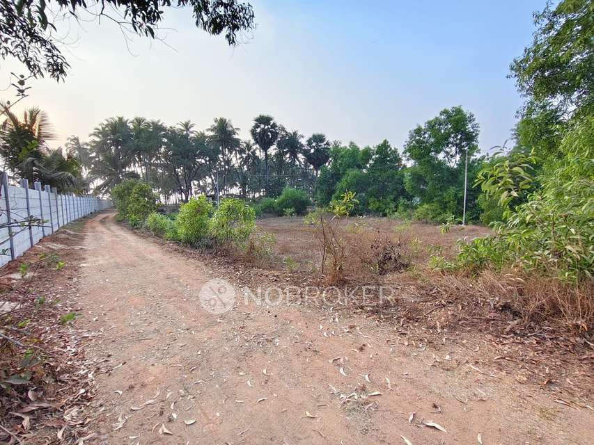 Plot For Sale  In Mangalore - Villupuram Rd