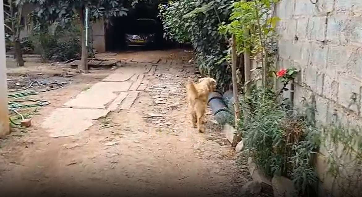 Plot For Sale  In 123/1, Chandrareddylayout, Channasandra, Bengaluru, Karnataka 560067, India