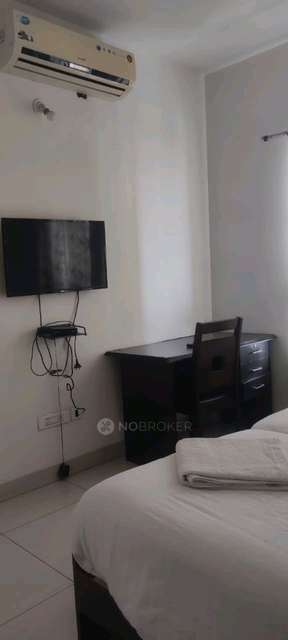 3 BHK Flat In Qubix Blueridge Sez  for Rent  In  Hinjewadi, Pune