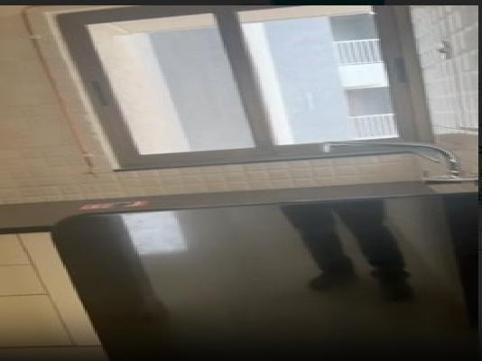 2 BHK Flat In Paranjape Blue Ridge for Rent  In Hinjewadi