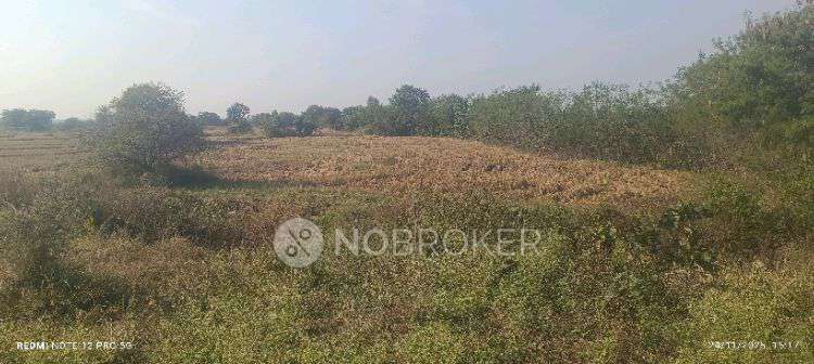 Plot For Sale  In Jogipet Hyderabad Transport. Co