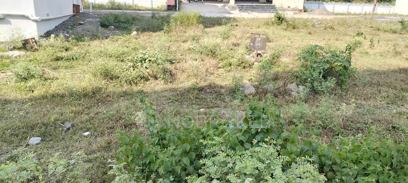 Plot For Sale  In Mahalaxmi In Phursungi