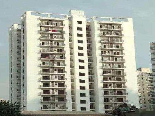 3 BHK Flat In Maxblis White House For Sale  In Sector 75
