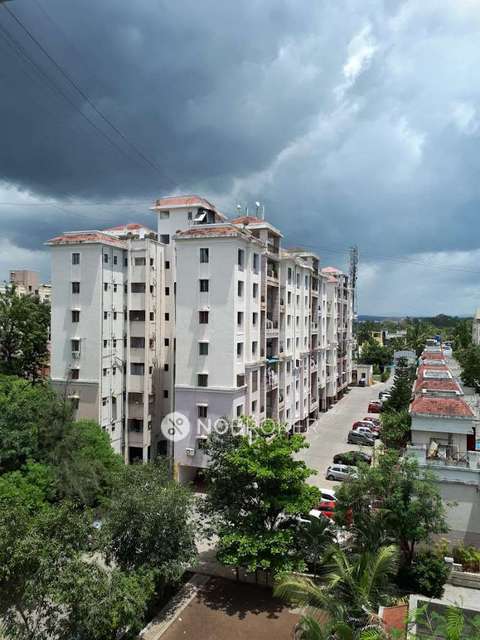 2 BHK Flat In Gk Daffodils Housing Society for Rent  In Pimple Saudagar