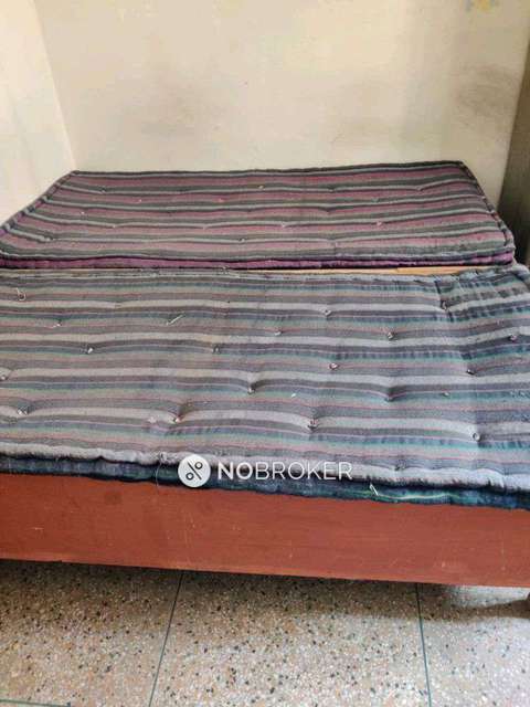 PG for Boys in Hauz Khas