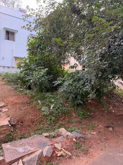 Plot For Sale  In 22nd Cross Road
