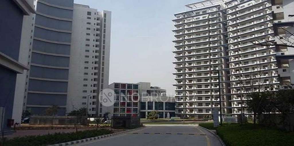 Single Room for Male In 3 BHK  In Pata Raitene Residency In  Sector 59