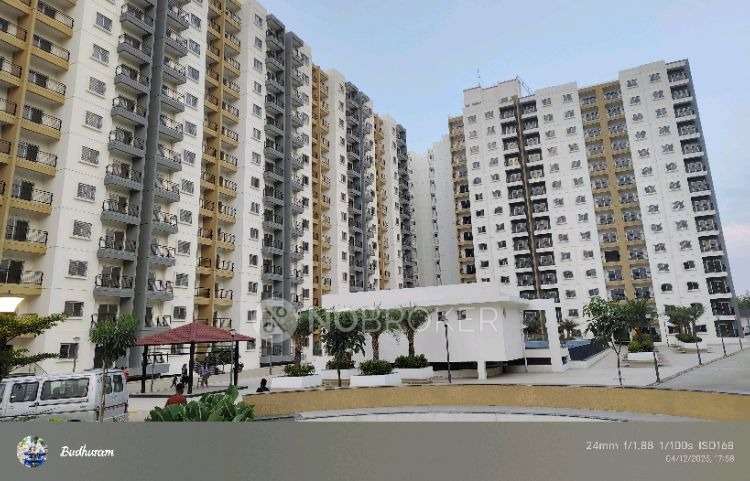 2 BHK Flat In Clpd Sunrise , Palm Lakeside for Rent  In Palm Lakeside
