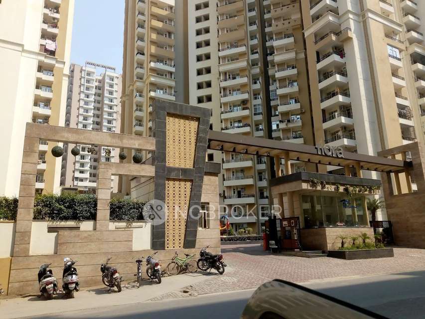 Shared Room for Male In 1 BHK  In Divyansh Flora In Gaur City 2,
