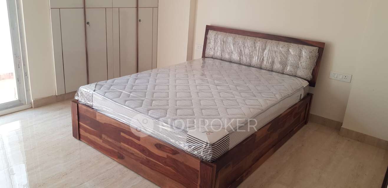 Single Room for Female In 3 BHK  In Sector 45