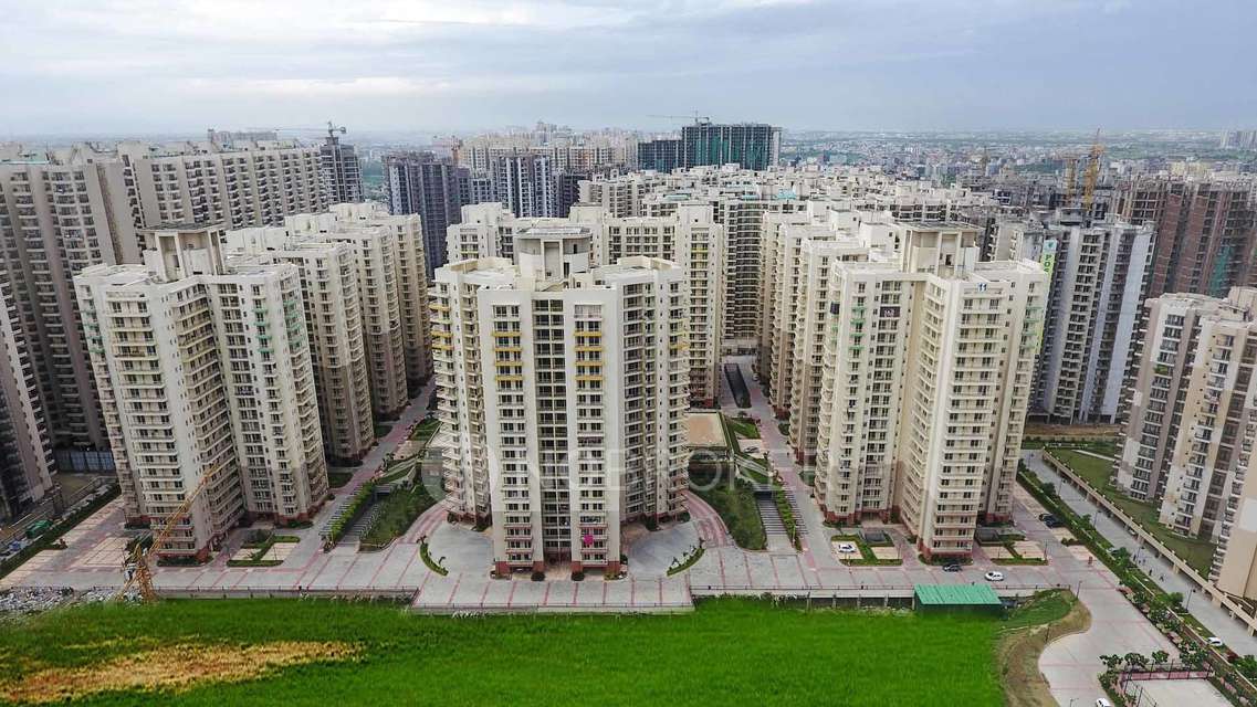 Single Room for Male In 3 BHK  In Sam Palm Olympia In Sector 16c