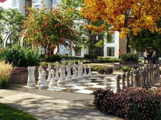 1 BHK Flat In Godrej Splendour For Sale  In Whitefield