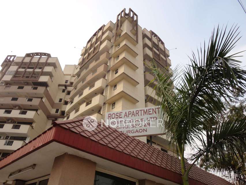 3 BHK Flat In Rose Apartments  for Rent  In Sector 28
