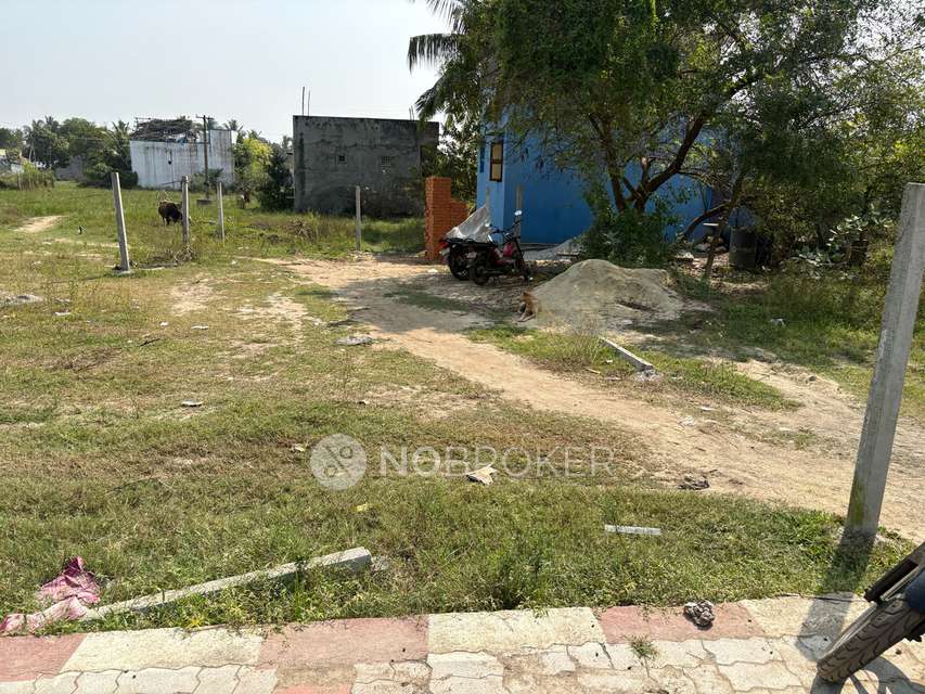 Plot For Sale  In Budur