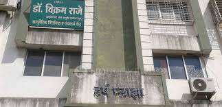 1 BHK Flat In Harsh for Rent  In Pimpri-chinchwad