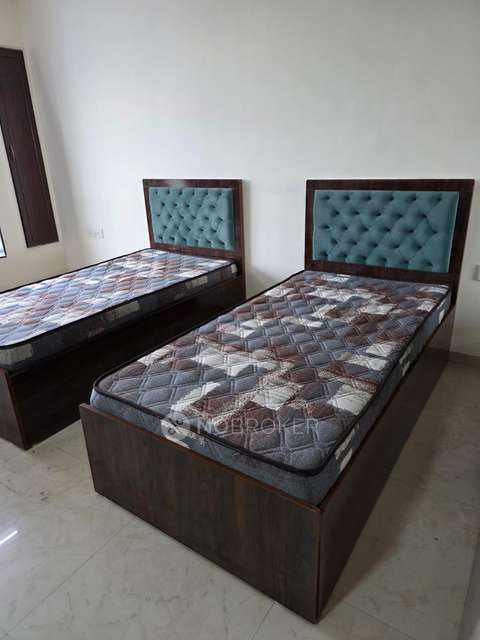 PG for Anyone in Vashi