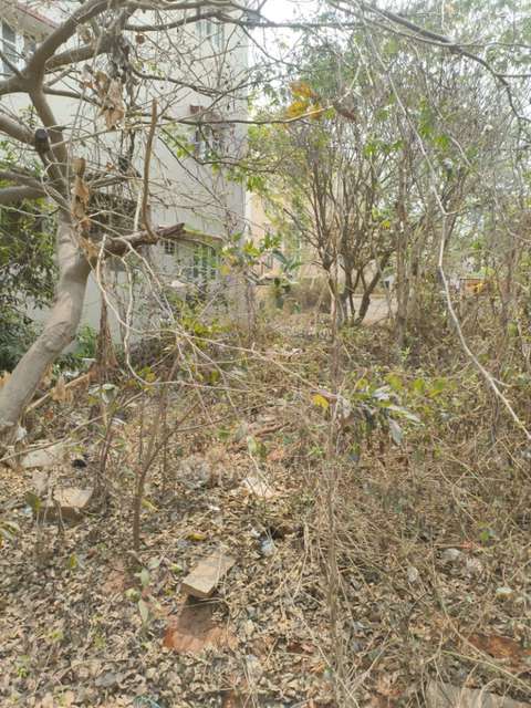 Plot For Sale  In Balaji Layout In Balaji Layout