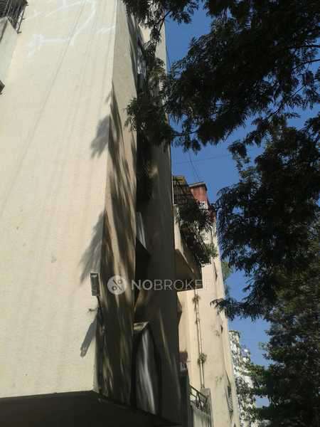 1 BHK Flat In Silver Moon Chs for Rent  In Bavdhan