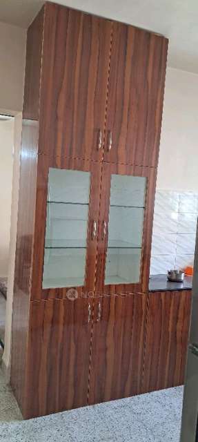 1 BHK Flat In Silver Moon Chs for Rent  In Bavdhan