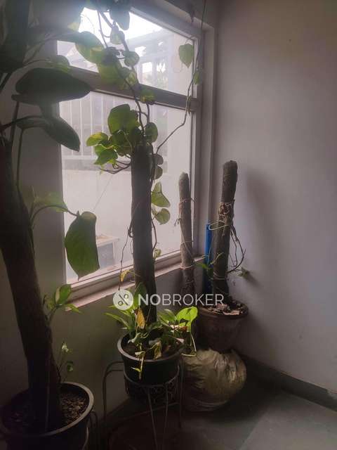 3 BHK Flat In Bptp Park Elite Floors For Sale  In Sector 85