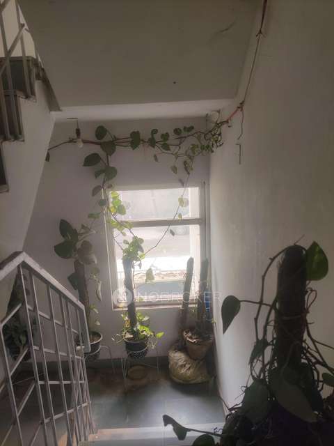 3 BHK Flat In Bptp Park Elite Floors For Sale  In Sector 85