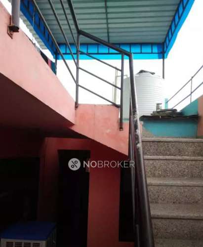 PG for Boys in Sector 55