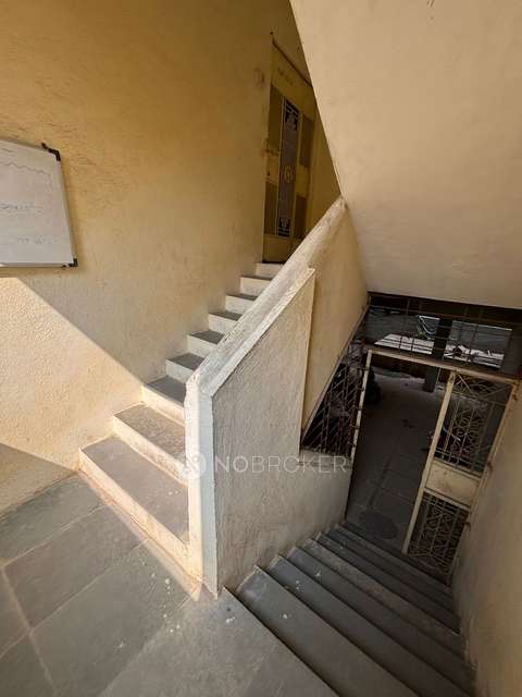 1 BHK Flat In Sainest Building for Rent  In Pimpri-chinchwad
