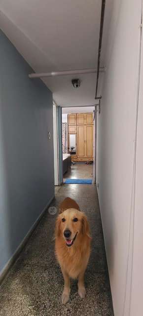 3 BHK Flat In Arjun Apartments For Sale  In Vikaspuri