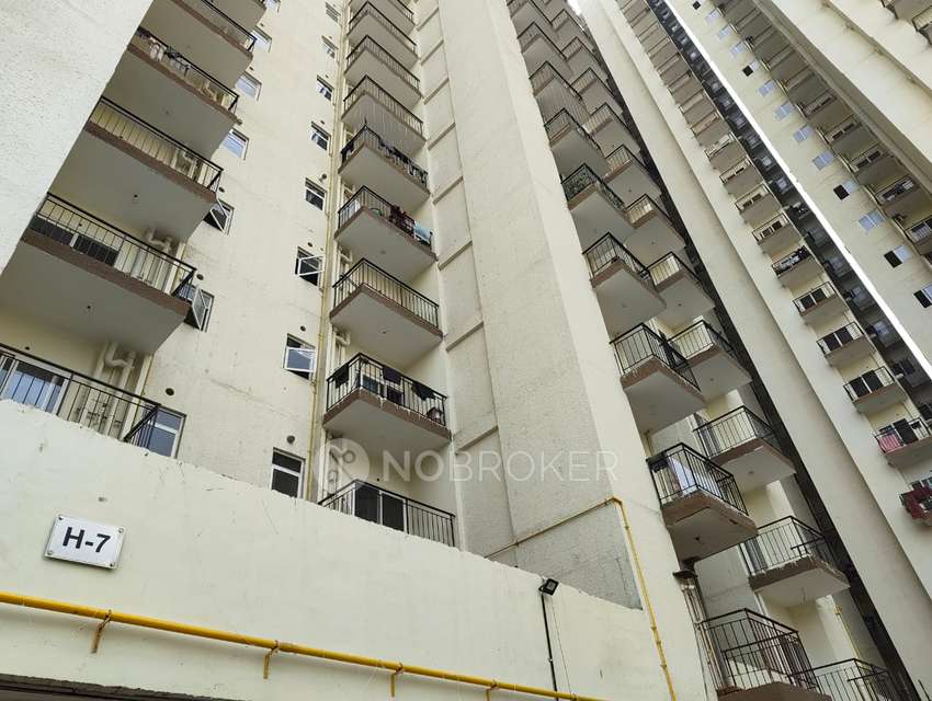 3 BHK Flat In Amrapali Enchante for Rent  In Tech Zone Iv