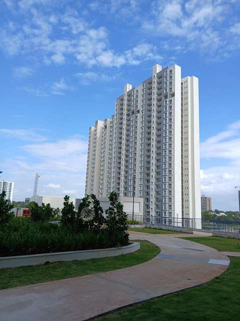 1 BHK Flat In Godrej Park Retreat, Sarjapura for Rent  In Sarjapura