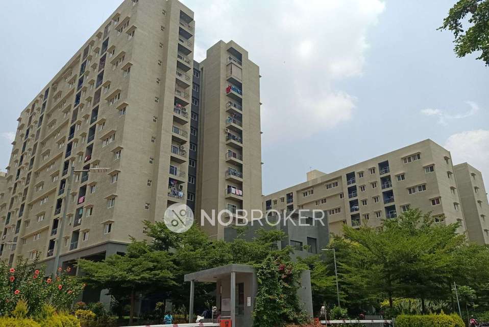 3 BHK Flat In Concorde Epitome for Rent  In Electronic City Phase 2