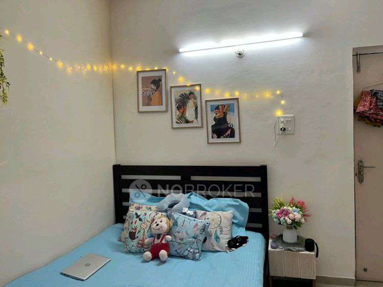 Single Room for Female In 3 BHK  In Pink City Housing Society In Wakad