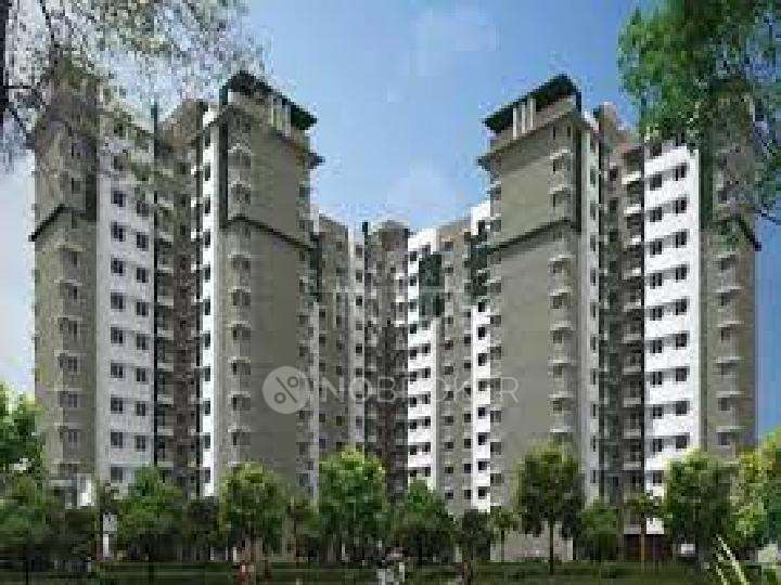 3 BHK Flat In Rays Of Dawn By Provident Sunworth for Rent  In Kengeri