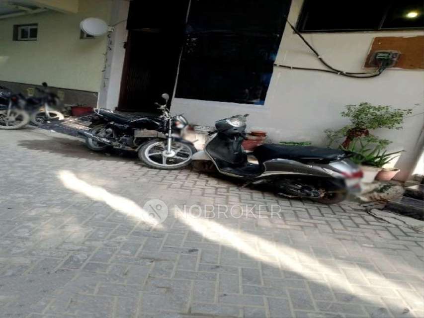 PG for Anyone in Sector 38 