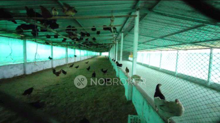 Godown/Warehouse in 6wq5+687, Harishchandri Rd, Kapurhol, Harishchandri, Maharashtra 412205, India, Pune for Rent