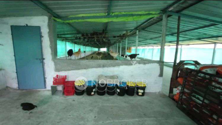 Godown/Warehouse in 6wq5+687, Harishchandri Rd, Kapurhol, Harishchandri, Maharashtra 412205, India, Pune for Rent