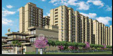 2 BHK Flat In Signature Global Millennia 3 for Rent  In Sector 37d