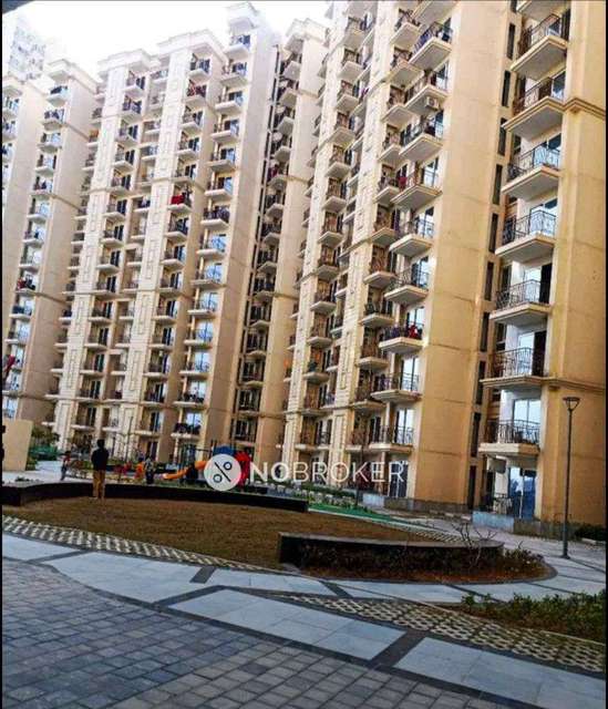 2 BHK Flat In Signature Global Millennia3 for Rent  In Sector 37d
