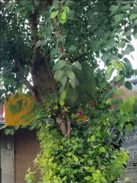 Shop in Pashan, Pune for Rent 