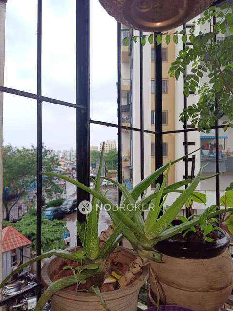 2 BHK Flat In Vasundhara Housing Co Op Society  for Rent  In Ambegaon Khurd Gaothan