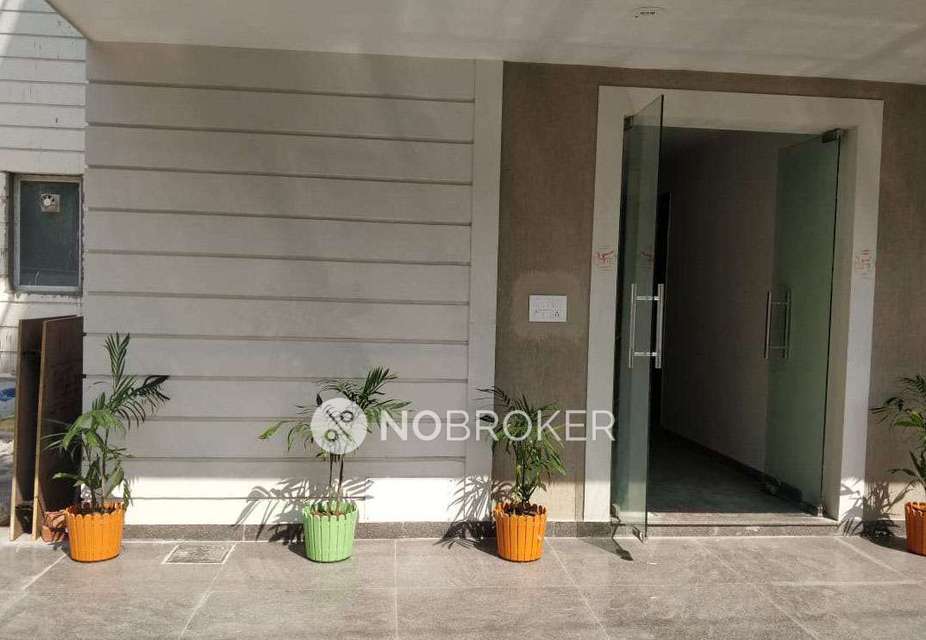 1 BHK Flat In Apartment for Rent  In Sector14