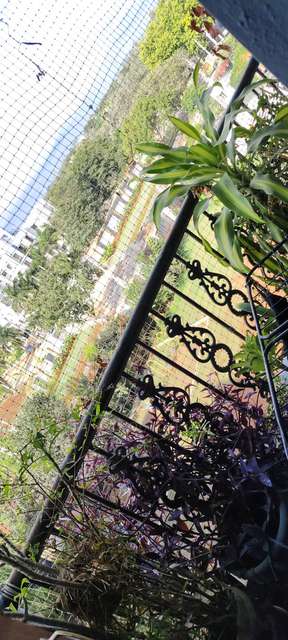 3 BHK Flat In Peninsula Pinnacles Apartments for Rent  In Billapura