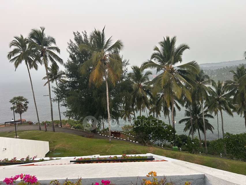 2 BHK Flat In Whispering Palms for Rent  In Kandivali East